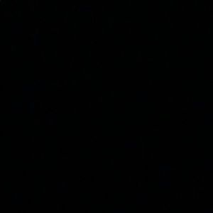 Meet your Posher, Roderick